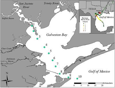 Microbial, Physical, and Chemical Changes in Galveston Bay Following an Extreme Flooding Event, Hurricane Harvey